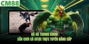 Đá Gà Thomo CM88 - Sân Chơi Cá Cược Trực Tuyến Đẳng Cấp