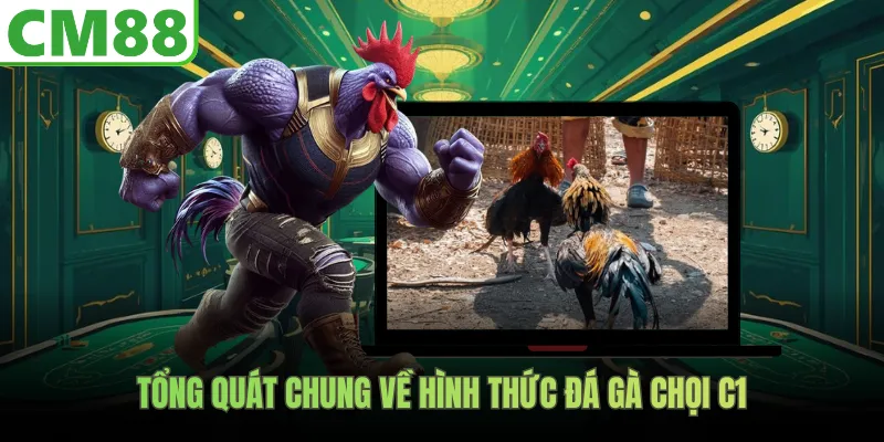 Tổng quát chung về hình thức đá gà chọi C1
