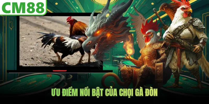 Ưu điểm nổi bật của chọi gà đòn